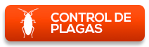 bt control plagas doctor clean